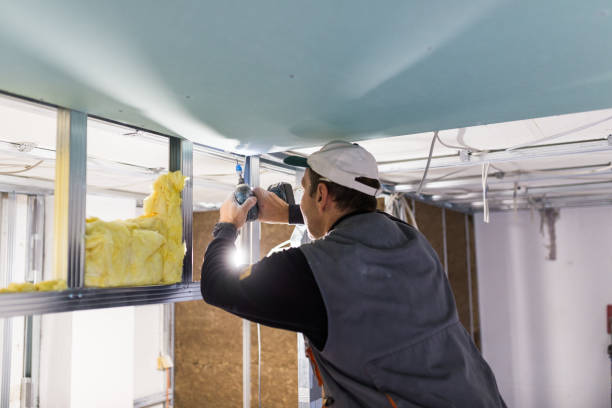 Types of Insulation We Offer in Bristol, FL