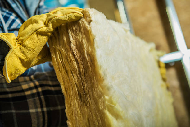 Best Insulation Maintenance and Repair in Bristol, FL
