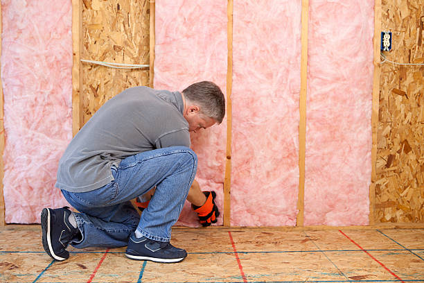 Best Geographic-Specific Insulation Services in Bristol, FL