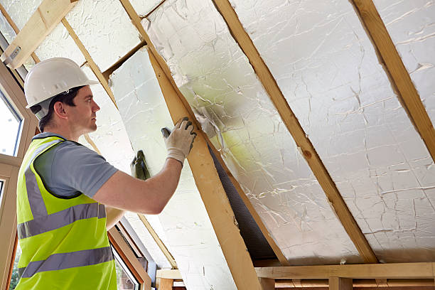Best Residential Insulation in Bristol, FL